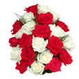 Red & White Roses