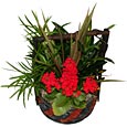 Tropical Basket